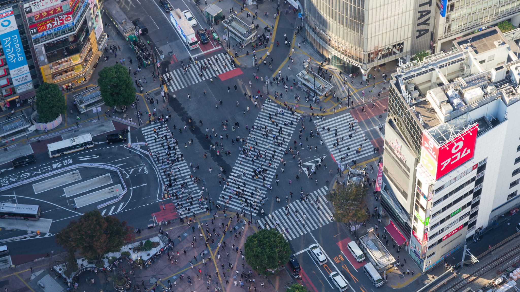 01-Tokyo (50) Shibuya Scramble Crossing.jpg